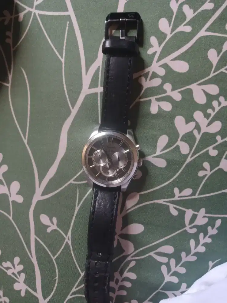 Jam tangan alexander Chiristie