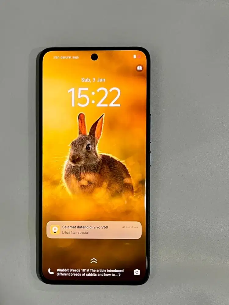 Vivo V60 5G 12/256 Garansi Resmi ViVo Indonesia