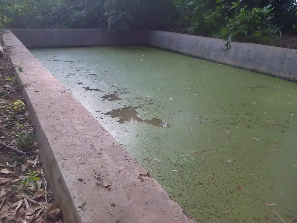 DIJUAL PEKARANGAN LUAS + RUMAH LAMA (BONUS KOLAM IKAN)