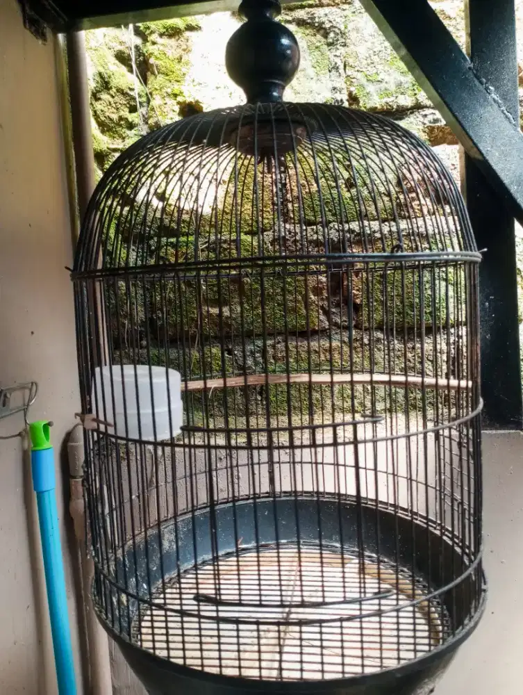 Kadang burung besi ukuran sedang