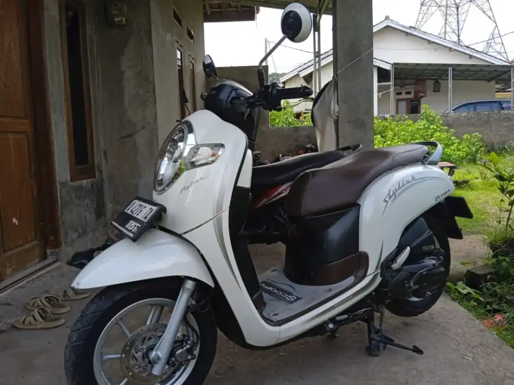 Honda scopy donat staylish