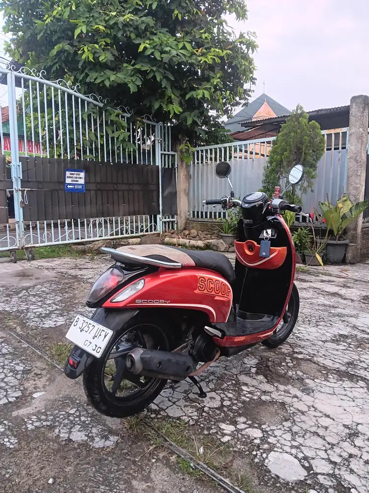 -Honda Scoooy Sporty