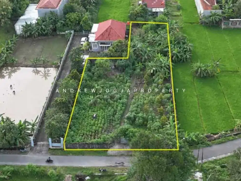 Jual Tanah Utara Hotel Platinum Bandara Adi Sucipto Jalan Solo Nego Sampai Deal