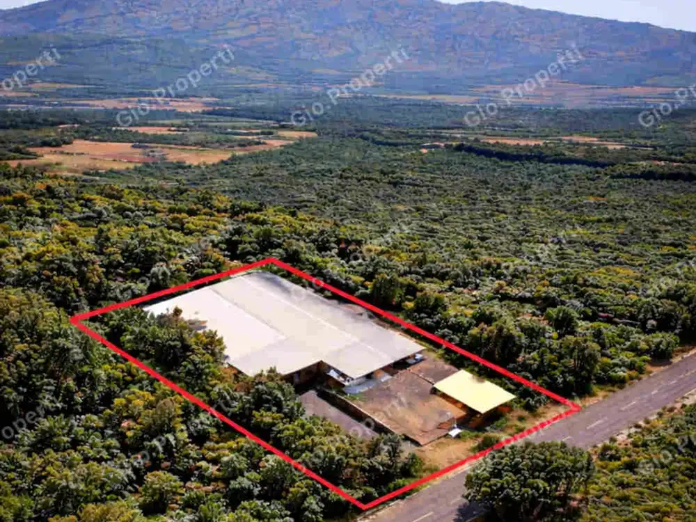 PABRIK AKTIF EX MINUMAN KEMASAN TEH, BISA UNTUK AMDK INCLUDE MESIN DAN USAHANYA ADA IJIN PT DAN BPOM LENGKAP