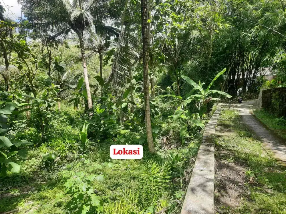 Dijual Tanah Murah dekat KUA dan Pasar Sentolo lama