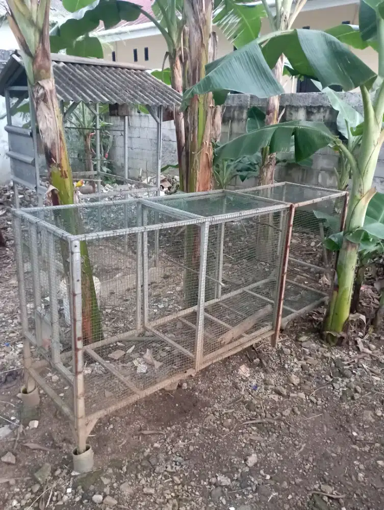 Kandang Umbaran sleding 3 meter buat murai kacer dll
