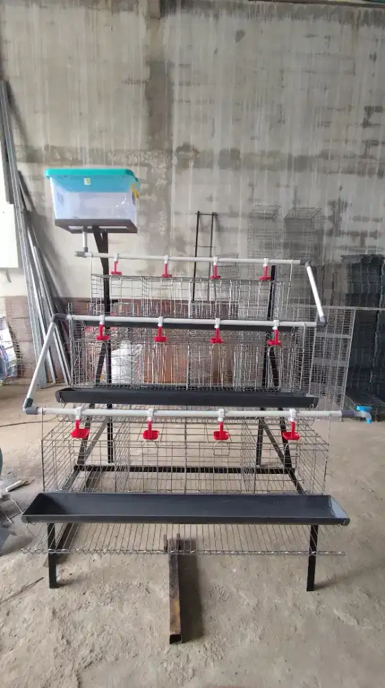 Kandang Ayam Petelur kapasitas 24 Ekor