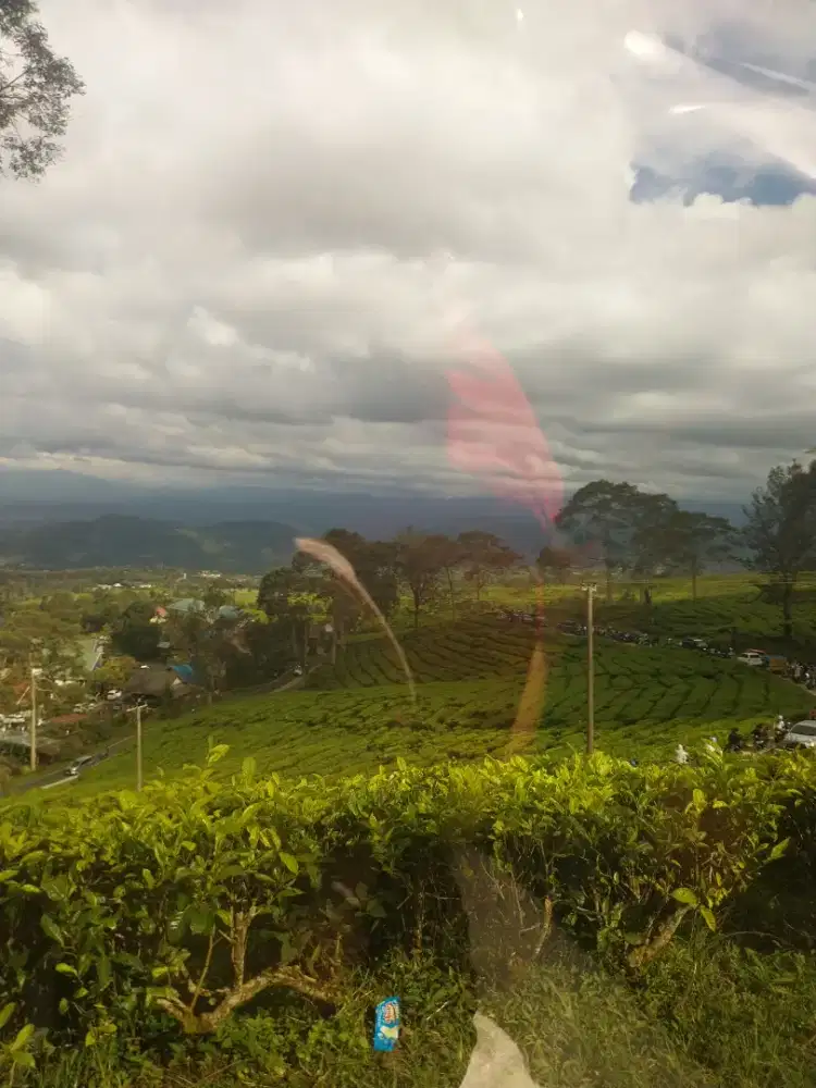 Lowongan ART( beberes dan jaga anak)