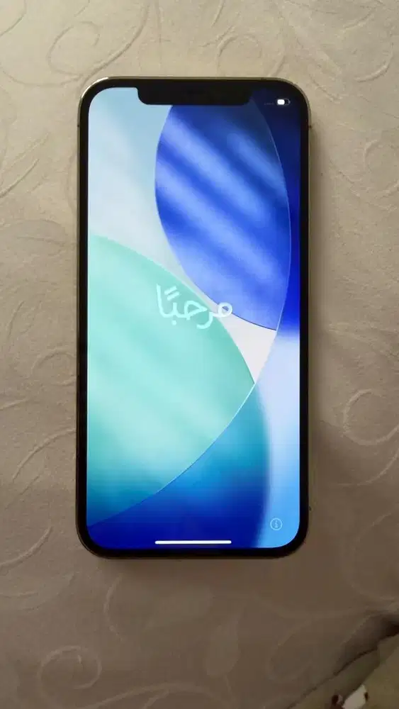 Iphone 12 Pro 128 Giga