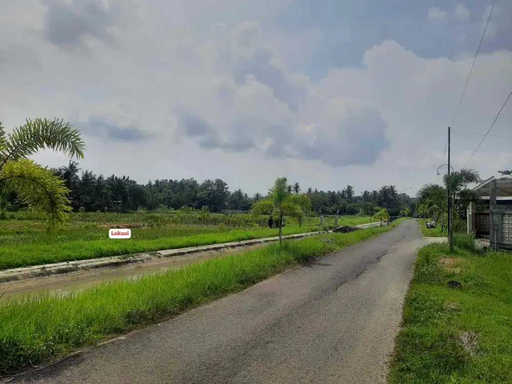 Dijual Tanah Murah dan Luas di Sukoreno Sentolo