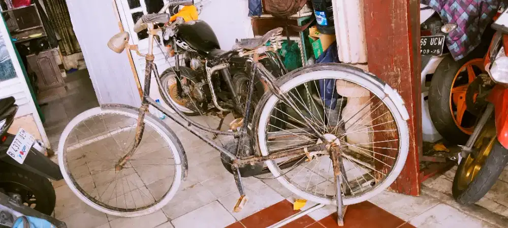 Sepeda Onthel Dames murah