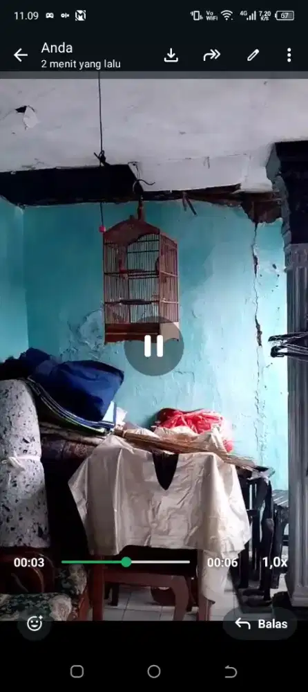 Burung trucuk fullset gacor Garuda