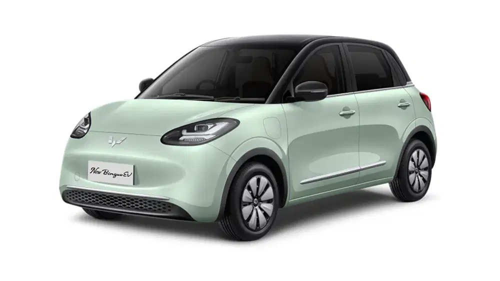 Wuling BINGUO EV [Mobil Baru] Pro Listrik-AT