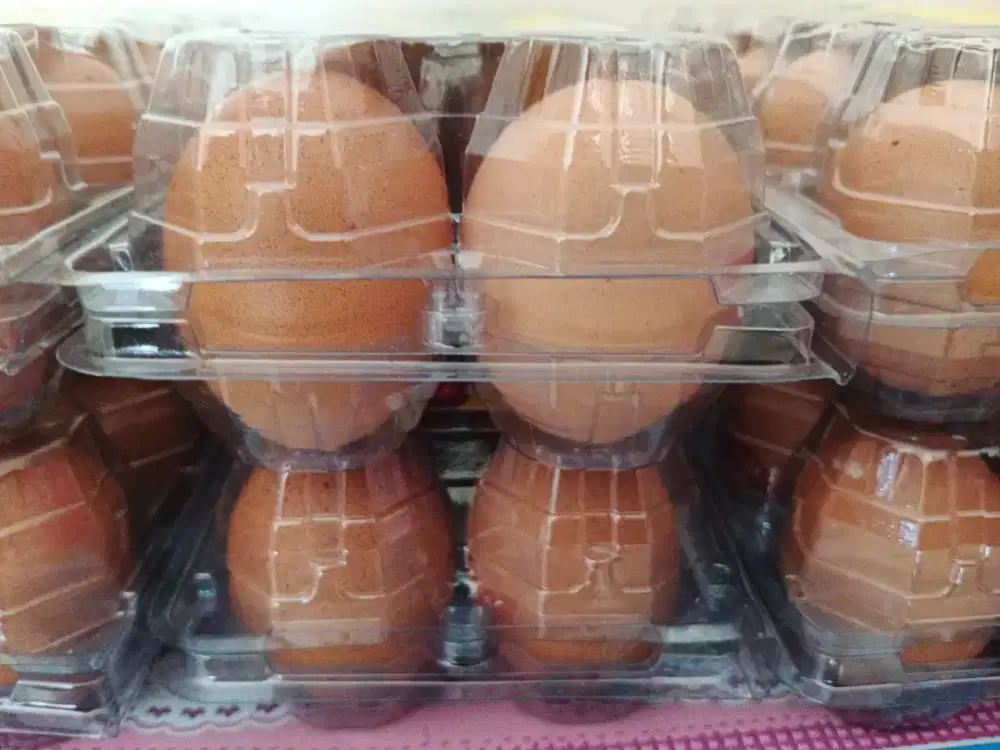 Telur Ayam omega OMEPLUS