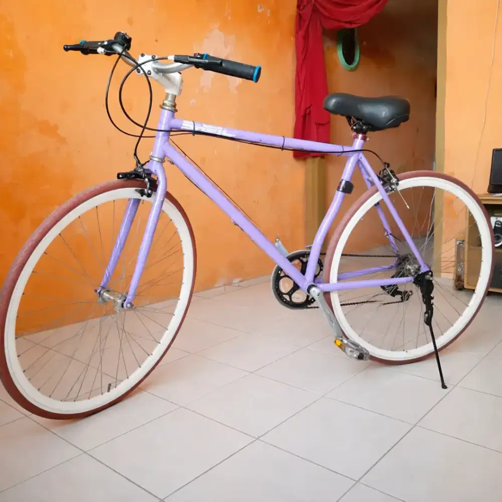 Sepeda Fixie bekas termurah kualitas ok