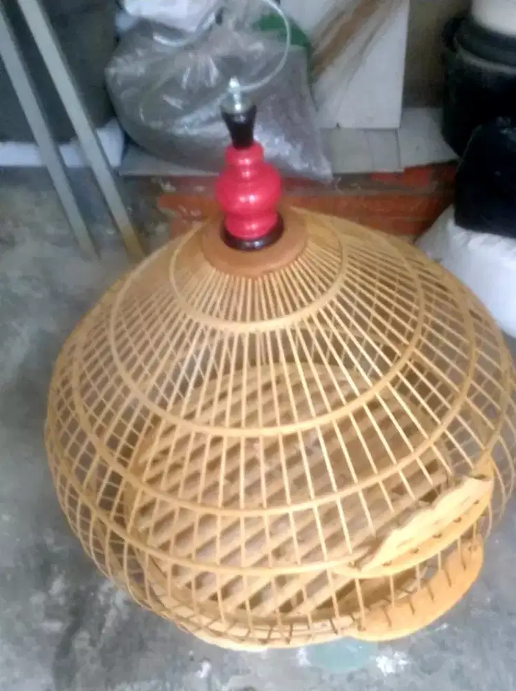 Kandang/Sangkar Ayam Hutan