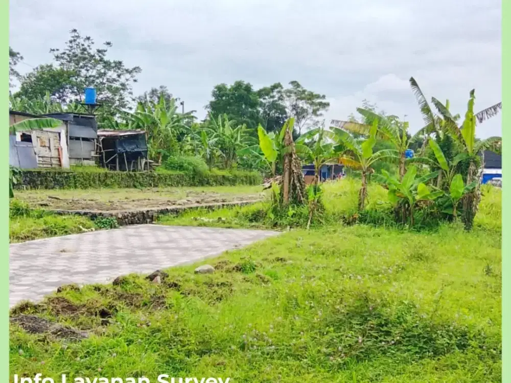Tanah Jogja Area Jl Tajem Dekat Kampus UNRIYO Maguwoharjo