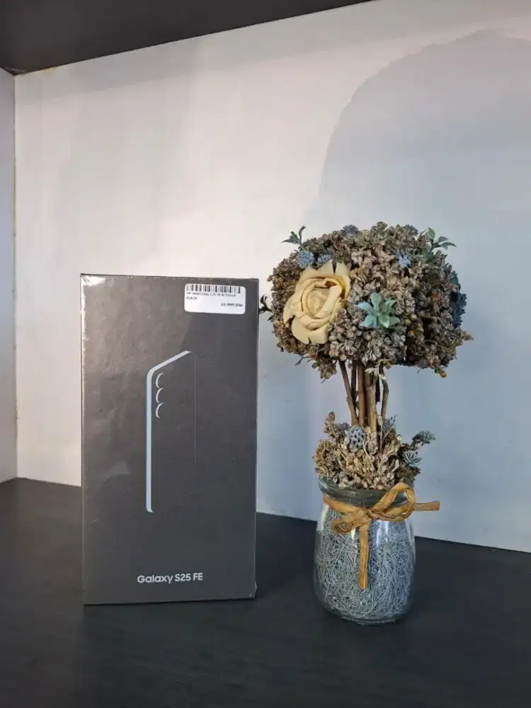 Samsung s25fe  bisa cod