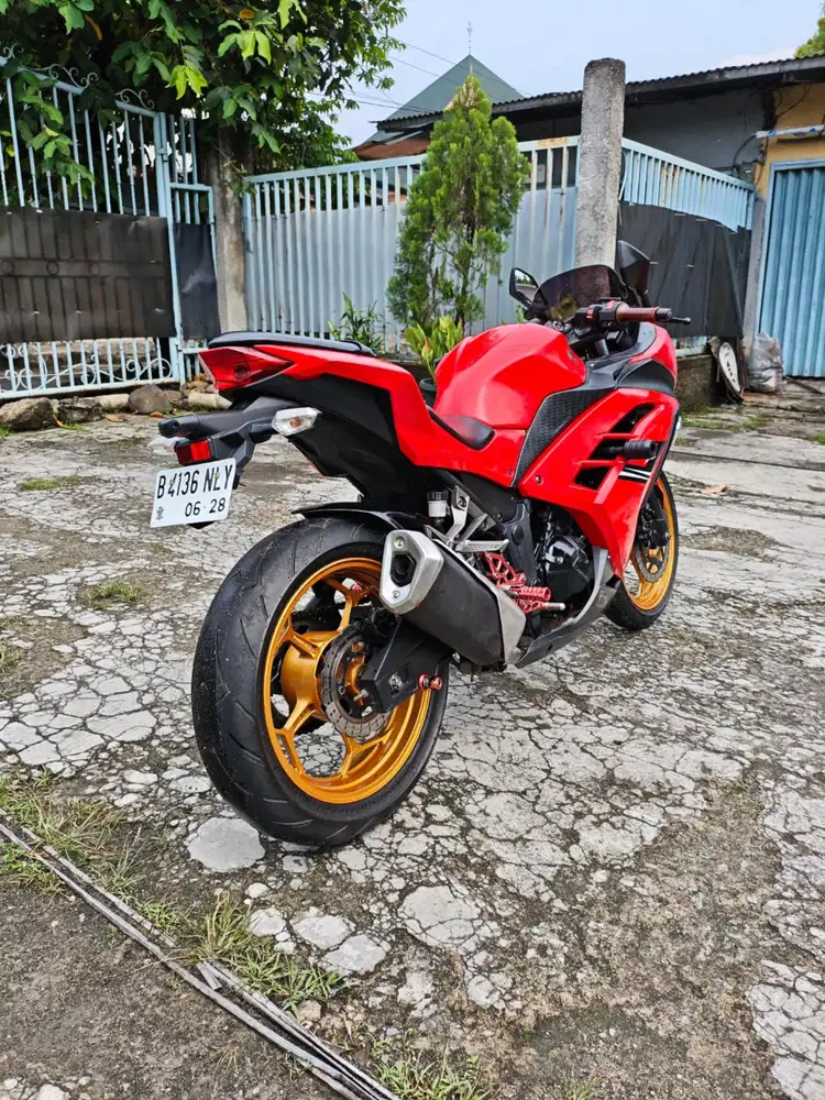 -Kawasaki Ninja 250cc FI