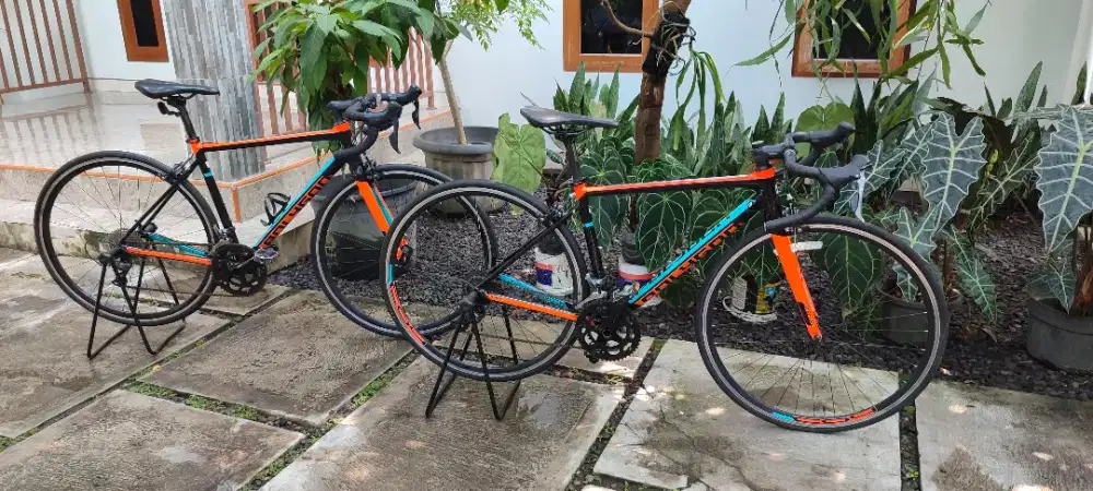 Roadbike Polygon Stratos S2 bekas size 47 size 51 harga per Unit