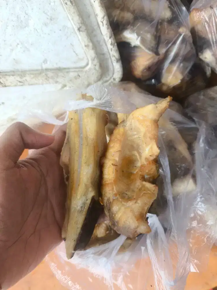 Ikan pe / ikan pari