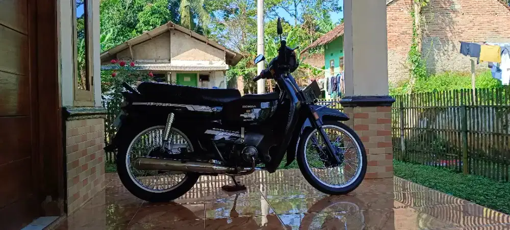 Astrea impressa tahun 1997