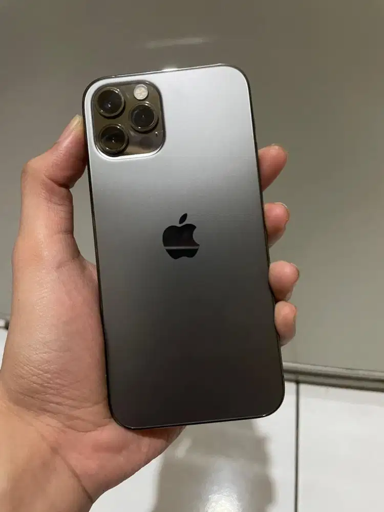 Iphone 12 pro 256gb resmi