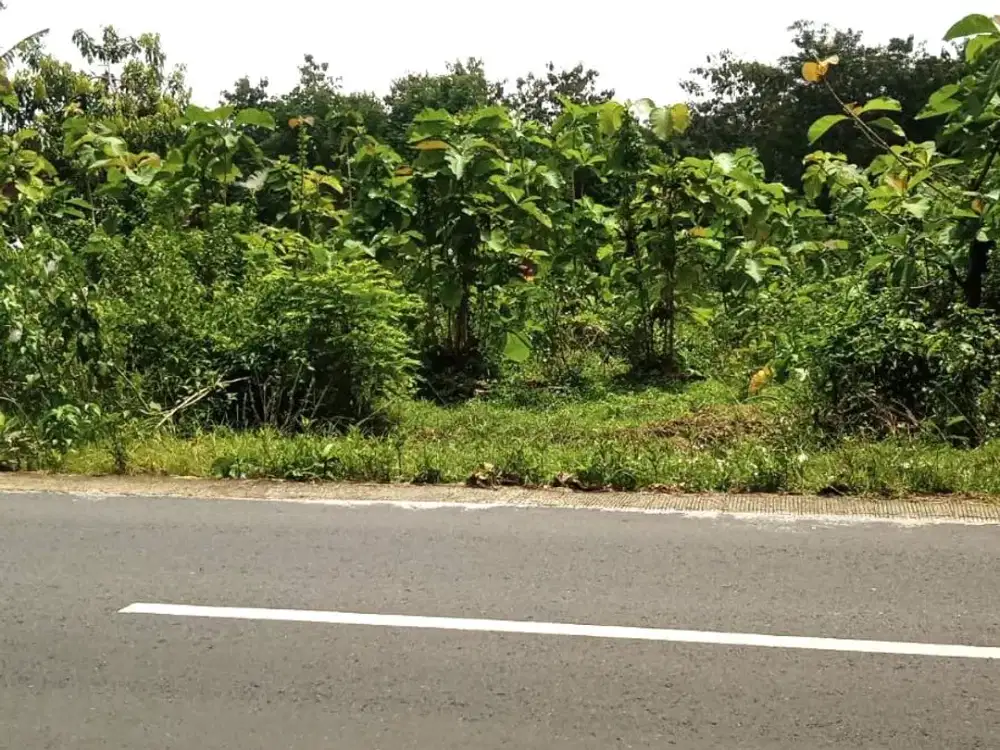 Tanah 1057m² Hanya 5 Menit Dari Karanganyar Kota