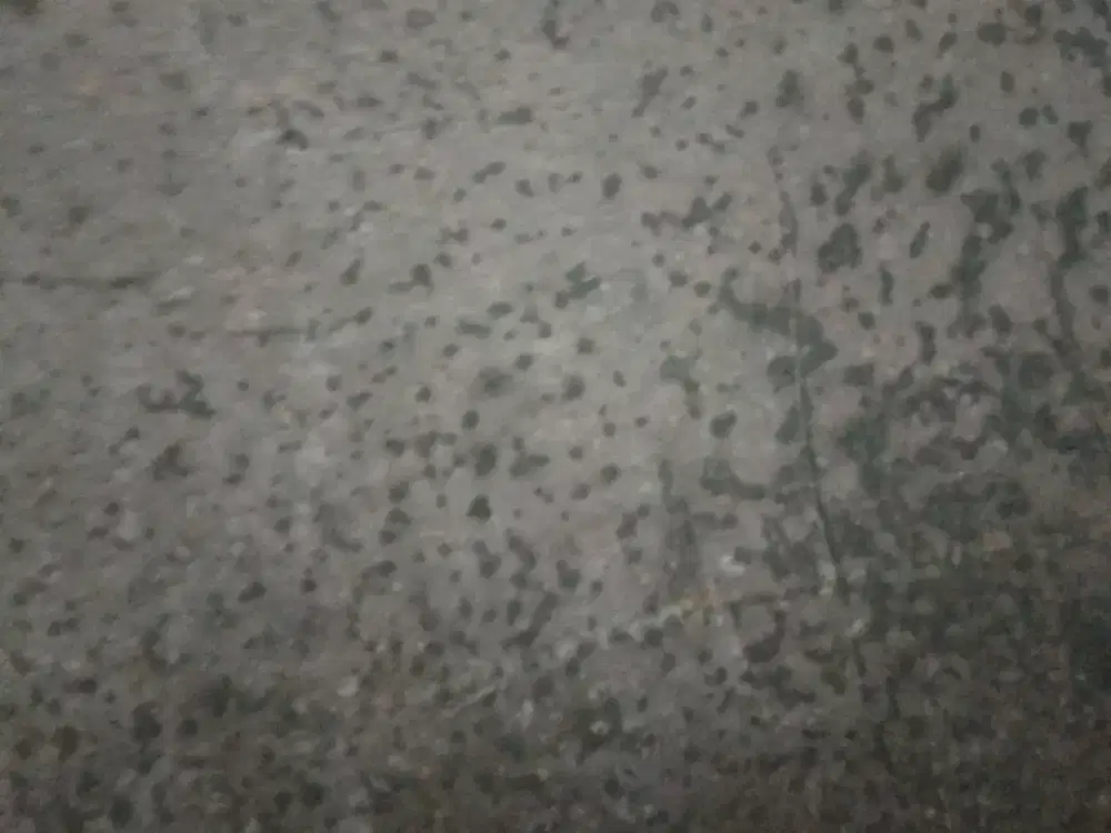 siap antar jemput sekolah atau kerja