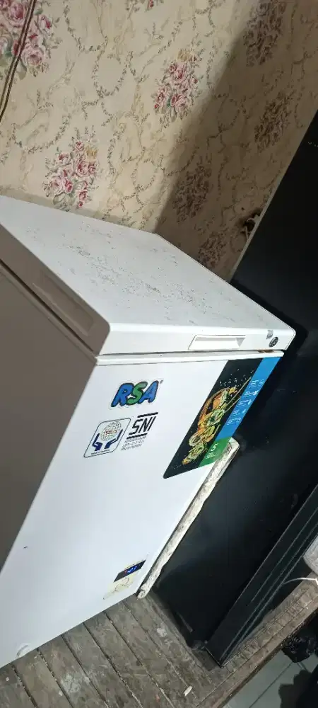 Freezer 100L RSA