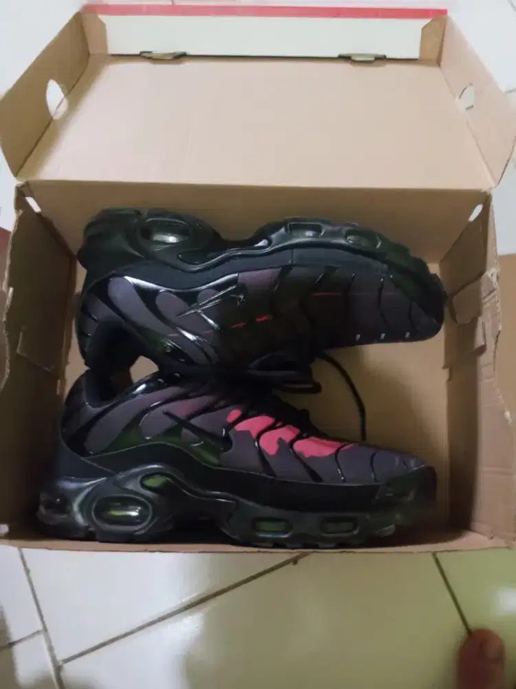 jual sepatu nike tn