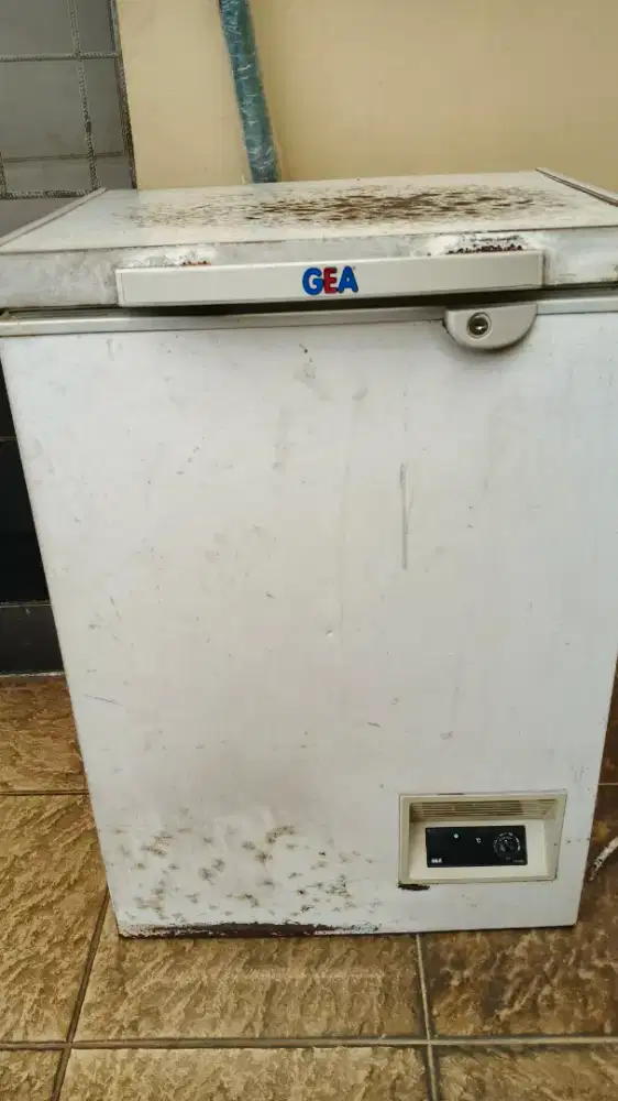 Freezer merk GEA 200 L