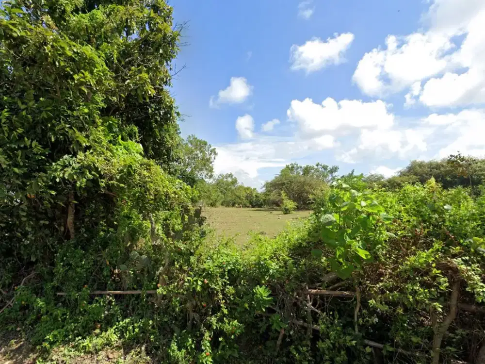 Tanah Premium 83 Are View Gwk Dijual, di Ungasan, Kuta Selatan Area