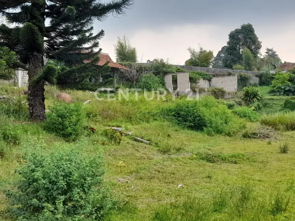 Tanah Luas Nyaman Dan View Bagus Di Lembang
