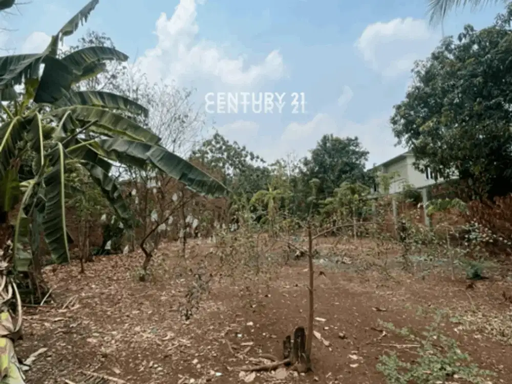 Disewakan Kavling Tanah Jl Margasatwa Jagakarsa Jakarta Selatan