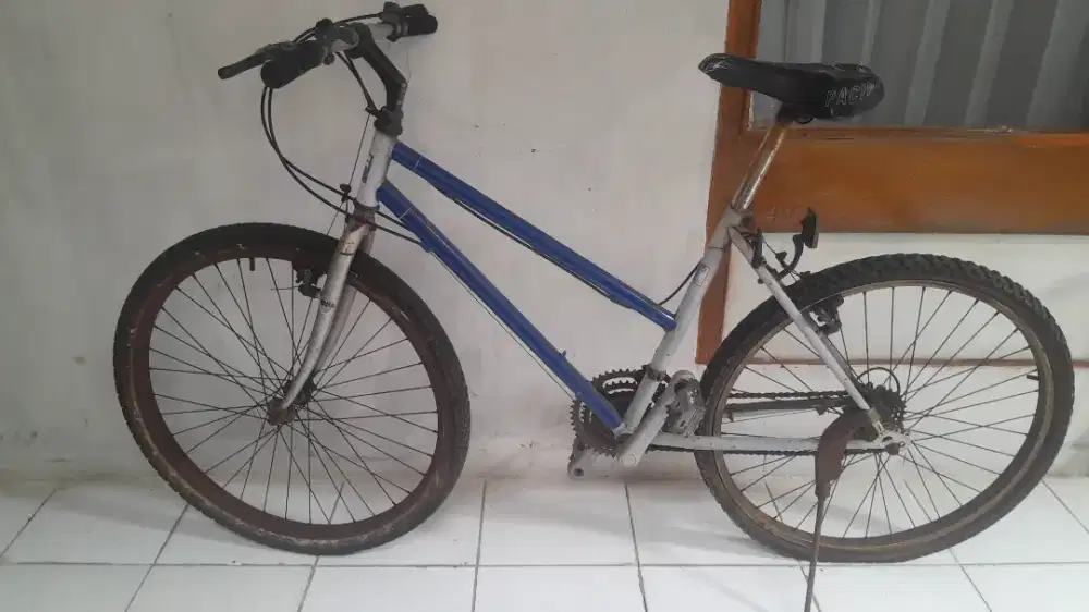 Sepeda FEDERAL LADY size 18