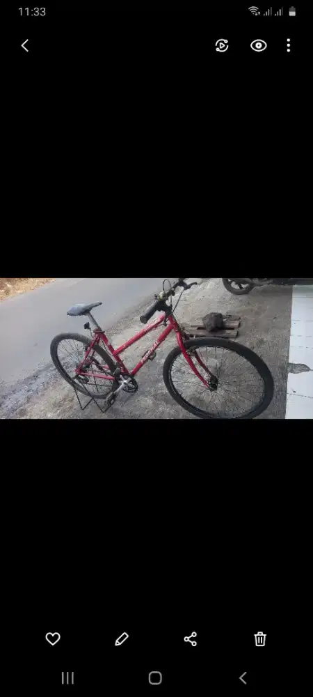 Sepeda federal Marble cat