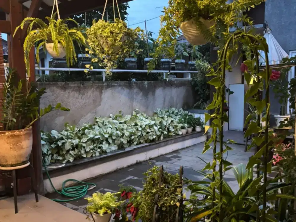 DIJUAL RUMAH GRIYA MAS PASTEUR BANDUNG TOL PASTEUR, D'BOTANICA