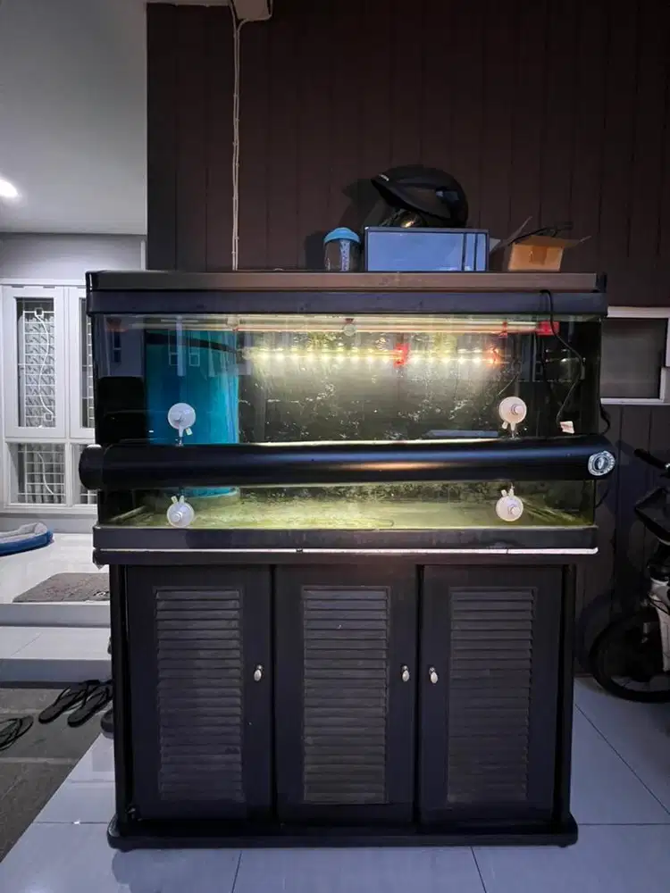 Akuarium Bekas Layak Pakai