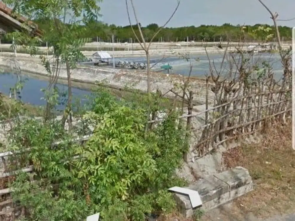 Dijual Tambak Udang Aktif dan Produktif, di Pamekasan pinggir jalan