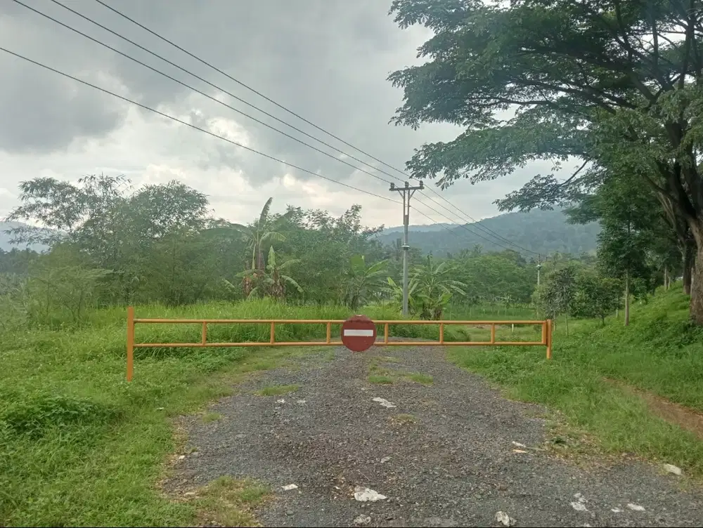 Dijual cepat tanah -+8000m