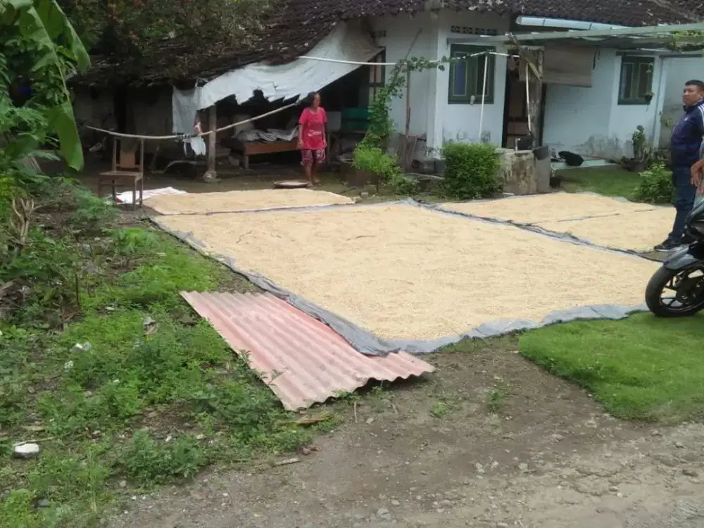 Tanah Murah SHM Bantul Di Bawah 200 Juta