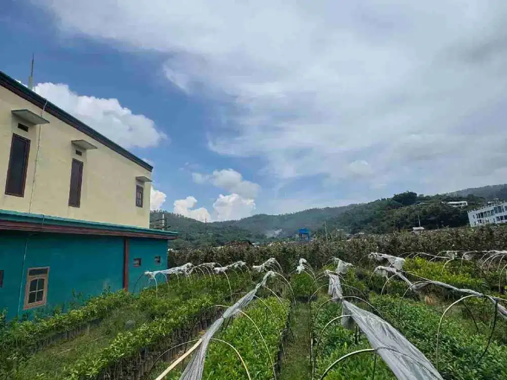 Spill Tanah Kavling Paling Strategis di Kota Batu!