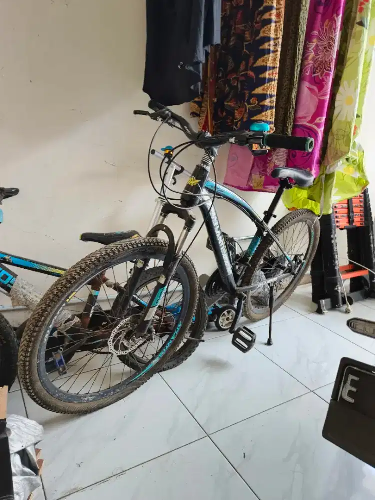 Jual Butuh, Sepeda Atlantis