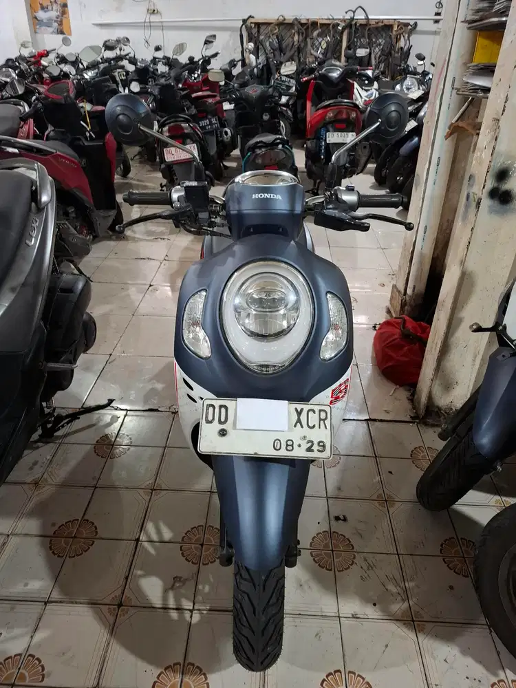 Honda Scoopy 2024 biru putih