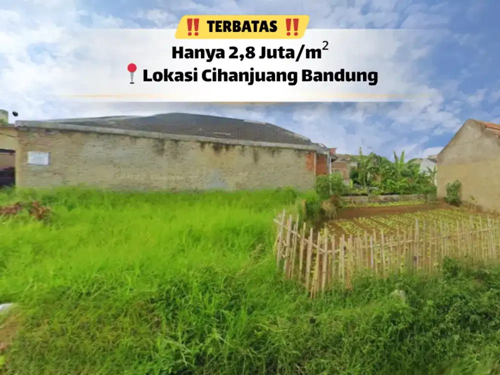 Kalau Serius Cari Tanah, Ini Wajib Kamu Lihat