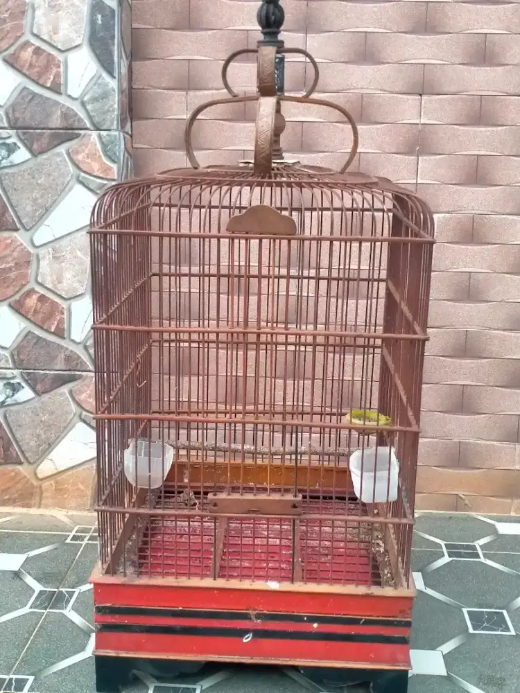 Sangkar oval layak pakai