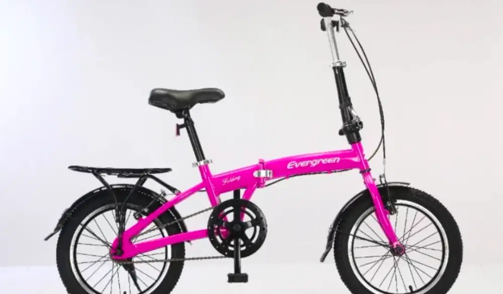 Sepeda lipat (kondisi baru banget sempurna jamin)