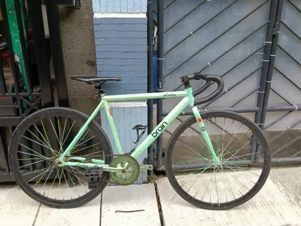 wts sepeda fixie brain atales doltrap