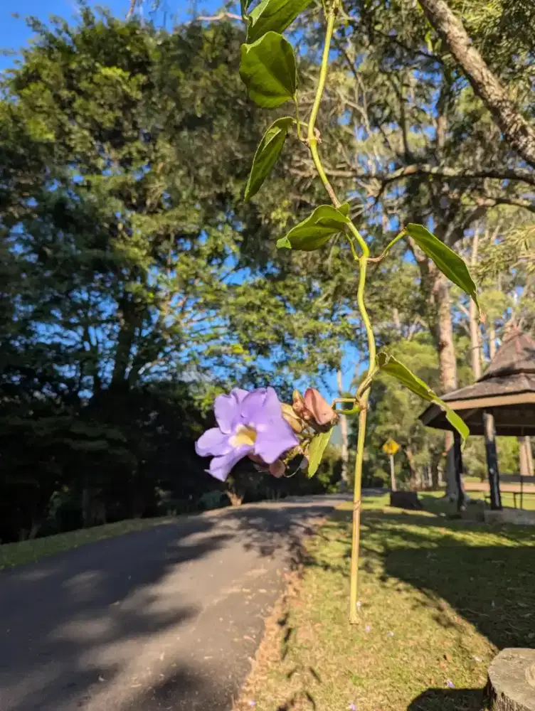 Cari pekerjaan art nginep daerah gading Serpong